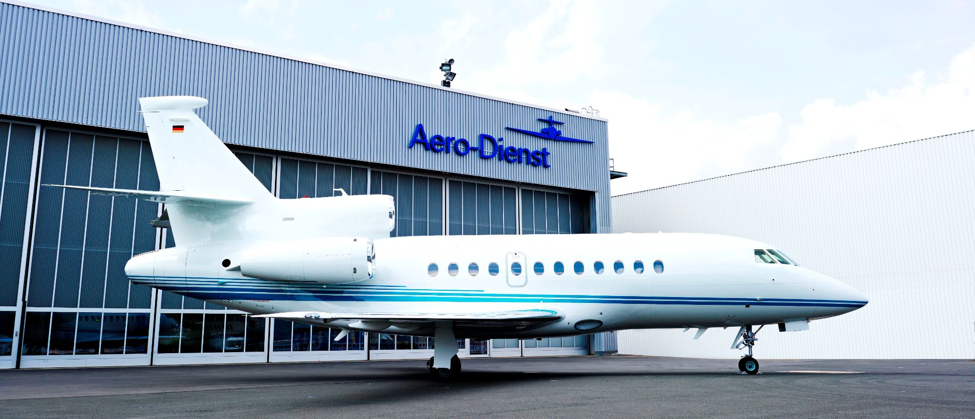 images/Transaktionsportfolio/4_Purchased_Falcon